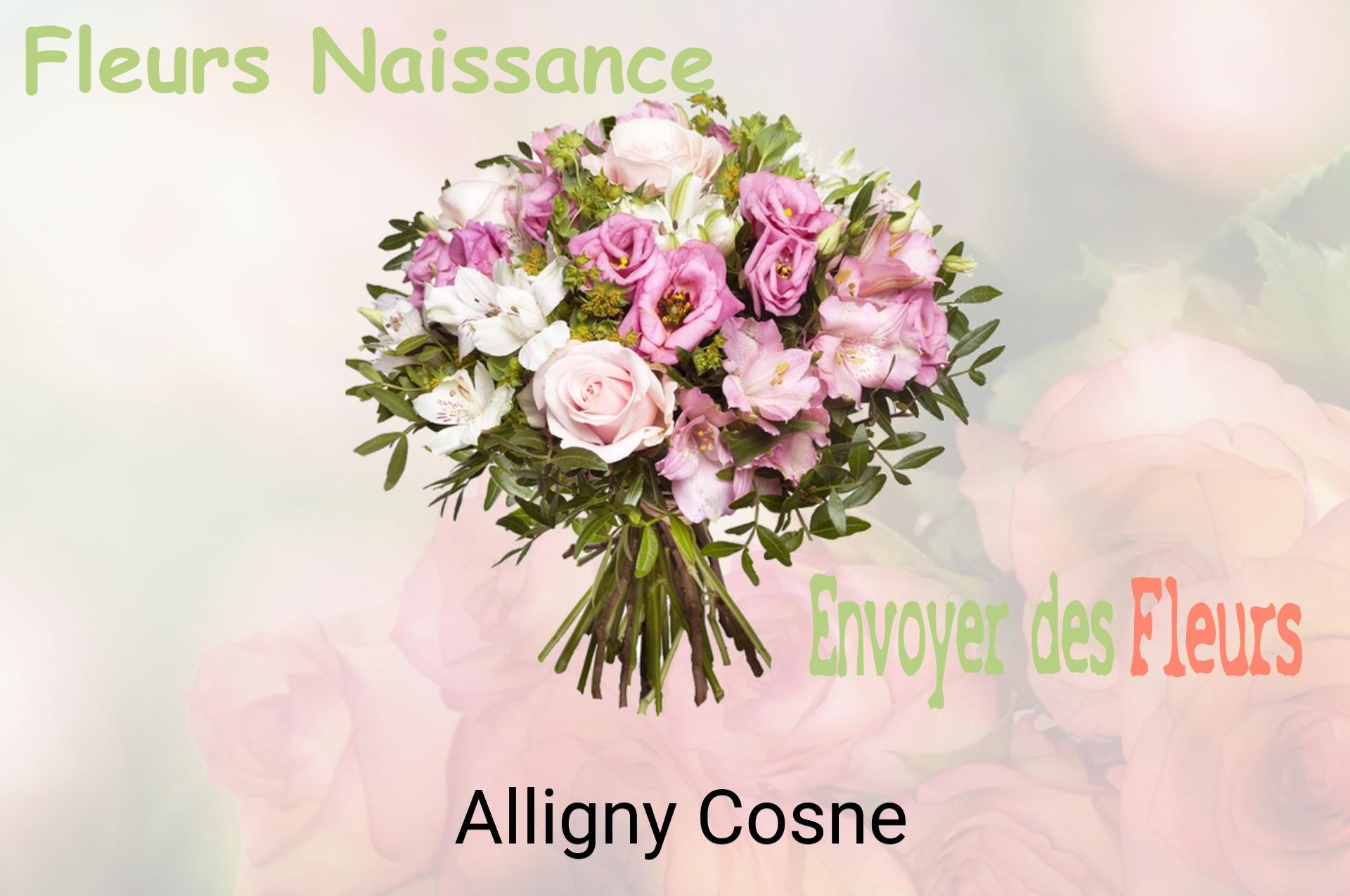 Bouquet de fleurs de naissance livré à Alligny-Cosne