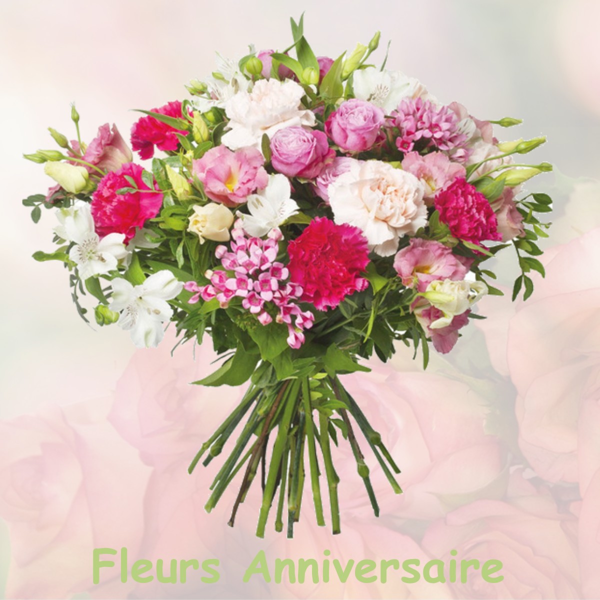 fleurs anniversaire ALLIGNY-COSNE